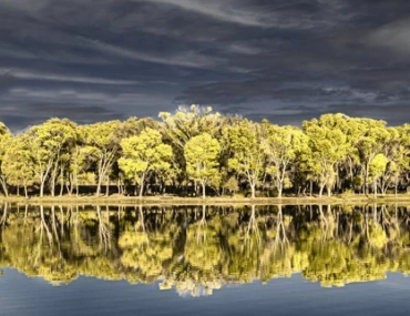 Wickenburg Art Center_Gallery_Fall Spectacular