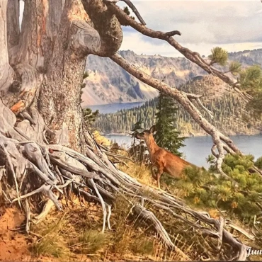 Crater Lakes - Photography By Jiene White