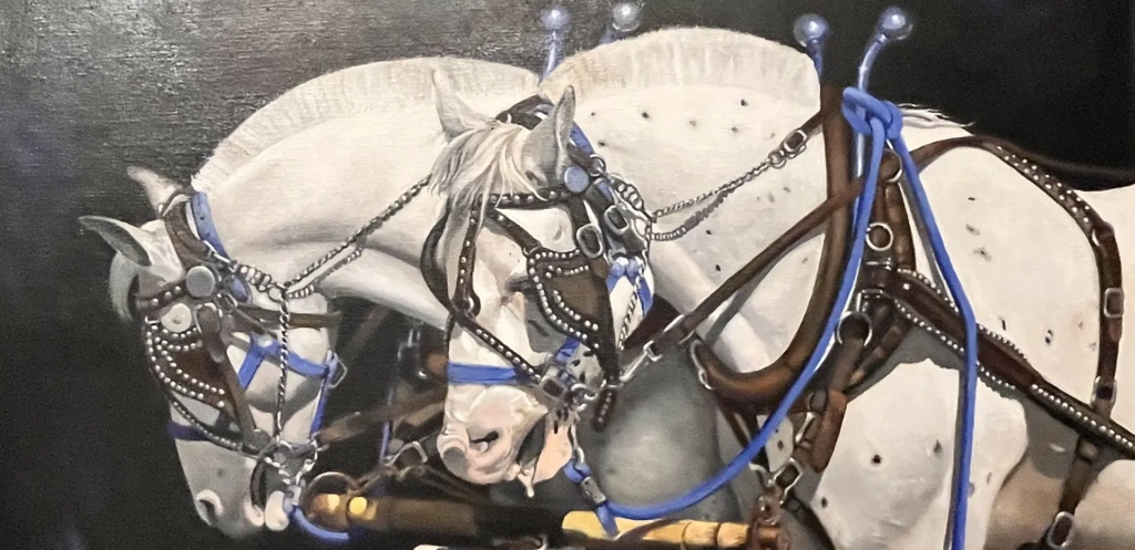 the shoulders we stand on Homepage hero